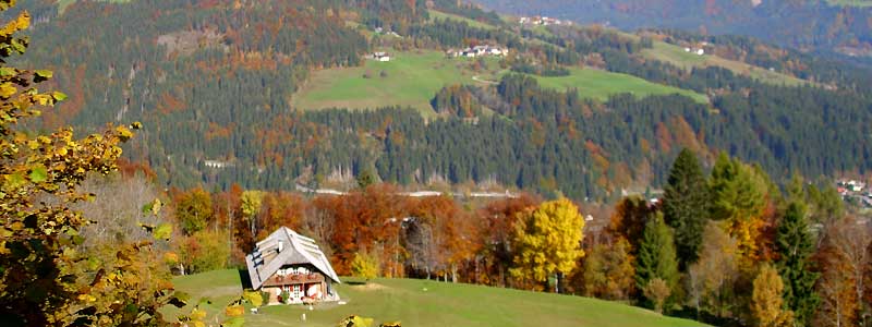 Herbstlandschaft 2